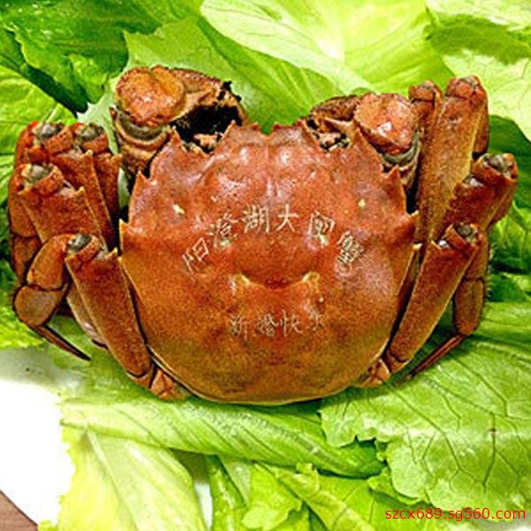 螃蟹激光打标机