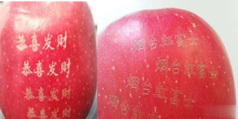 激光打标机在水果上是怎么打标的呢？